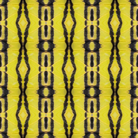 Colorful texture from detail of butterfly wing for backgroundの写真素材