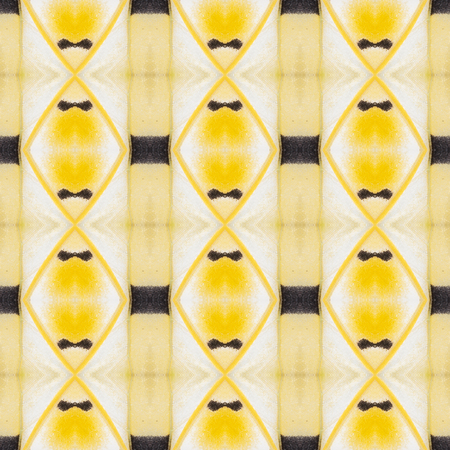 Colorful texture from detail of butterfly wing for backgroundの写真素材