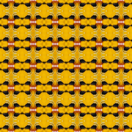 Seamless pattern made from colorful butterfly wing for background textureの写真素材