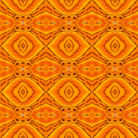 Seamless pattern made from colorful butterfly wing for background textureの写真素材