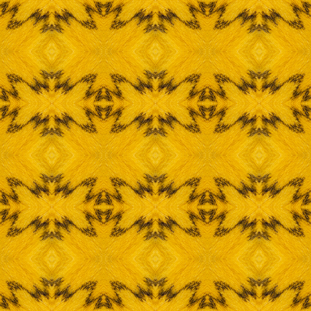 Seamless pattern made from colorful butterfly wing for background textureの写真素材