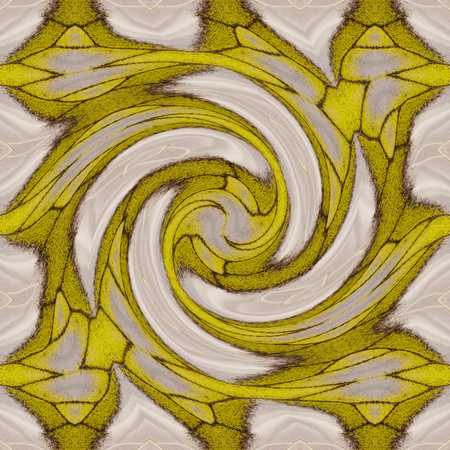 Seamless pattern made from colorful stripped albatross butterfly wing for background textureの写真素材