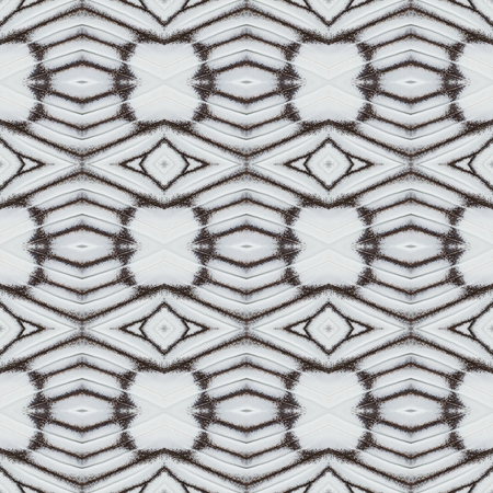 Seamless pattern made from colorful stripped albatross butterfly wing for background textureの写真素材