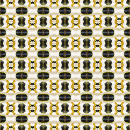 Seamless pattern made from colorful common jay butterfly wing for background textureの写真素材