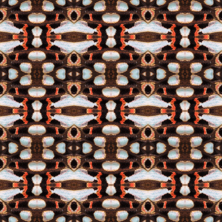 Seamless pattern made from colorful common jay butterfly wing for background texture