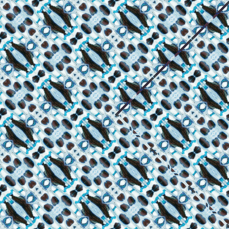 Seamless pattern made from colorful common jay butterfly wing for background textureの写真素材