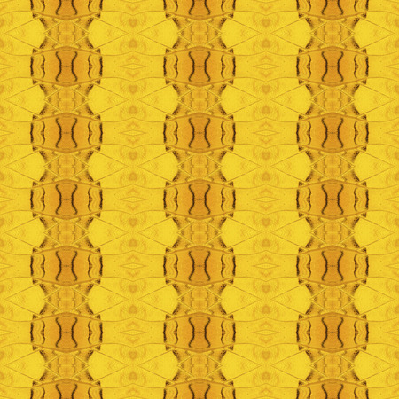 Pattern texture from orange common cruiser butterfly wing for backgroundの写真素材