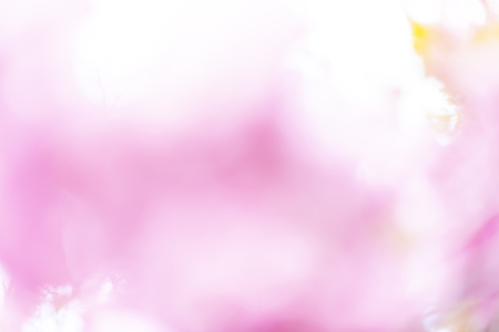 Abstract blur texture from color of flower for backgroundの写真素材