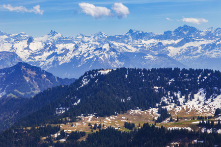 Landscape view of Alps snow mountain with pine tree looking from Rigi kulm Luzern Switzerland , europeの写真素材