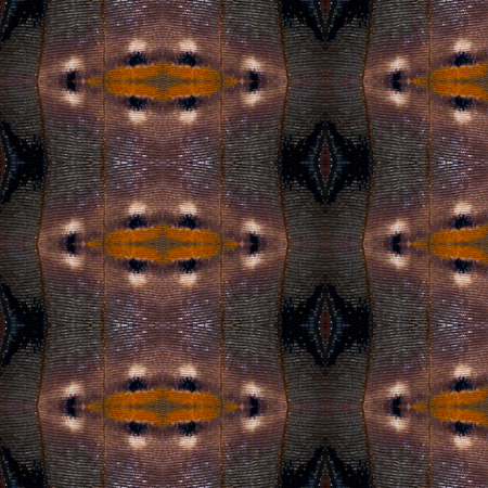 Seamless pattern made from colorful butterfly wing for background texture , common nawab