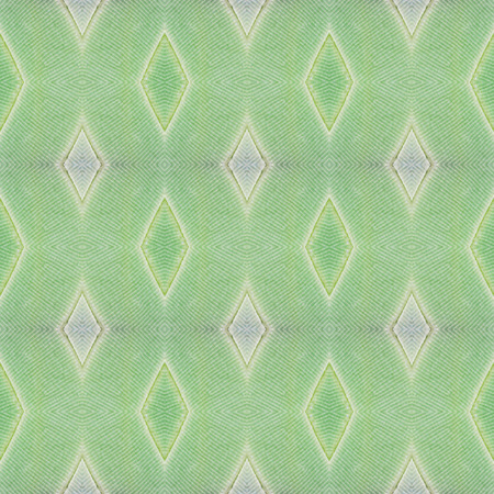 Seamless pattern made from colorful butterfly wing for background texture , common nawab