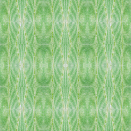 Seamless pattern made from colorful butterfly wing for background texture , common nawab