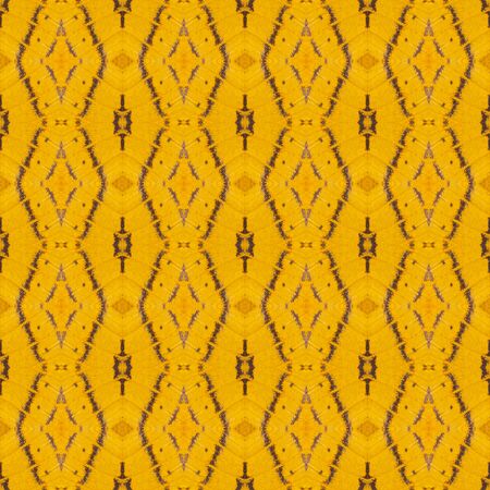 Seamless pattern made from colorful butterfly wing scale for background texture , Tabby catの写真素材