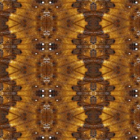 Seamless pattern made from colorful butterfly wing for background texture , wallpaper