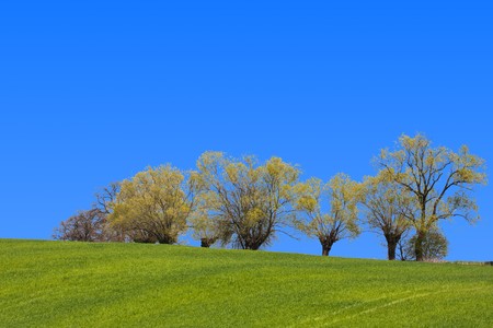 Rural landscapeの写真素材