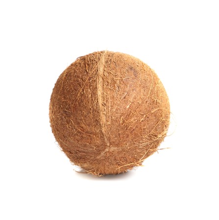 Isolated coconutの写真素材