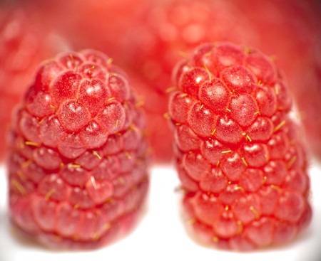 Ripe fresh rapberriesの写真素材
