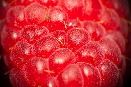 Ripe fresh rapberriesの写真素材