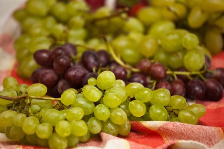 Ripe black and green grapesの写真素材