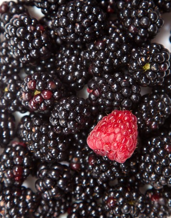 Composition of black and red raspberries on white isolated background in studio