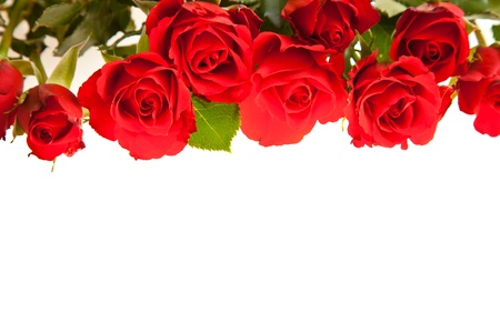 Red roses on white isolated background valentine's dayの写真素材
