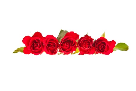 Red roses on white isolated background valentine's dayの写真素材