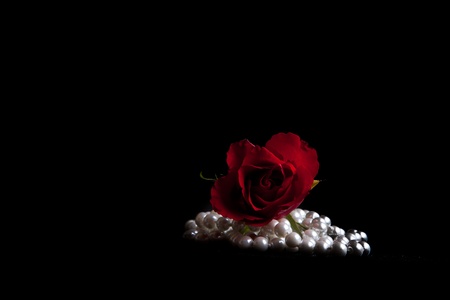 Red roses on black isolated backgroundの写真素材