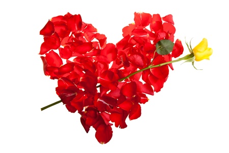 Red roses petals Valentine's Dayの写真素材