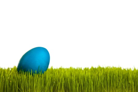 Easter eggs and chickens on green grass on white isolated background