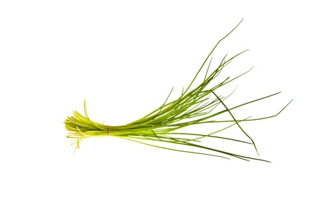 Chive isolated on whiteの写真素材