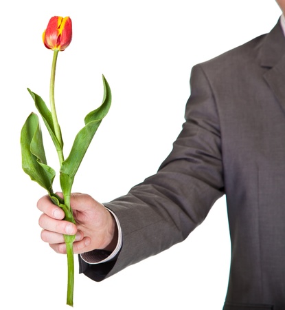 Man in suit and tie holding tulip flower isolated on whiteの写真素材