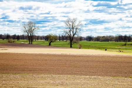 Spring landscapeの写真素材