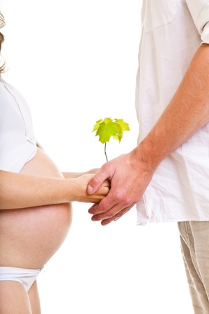 Pregnant woman with man and small plantの写真素材