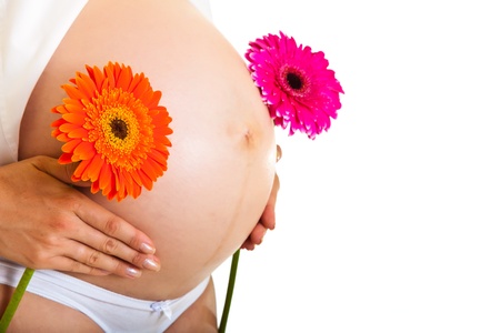 Pregnant woman holding gerbera flower isolated on whiteの写真素材