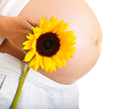 Pregnant woman holding sunflower isolated on whiteの写真素材