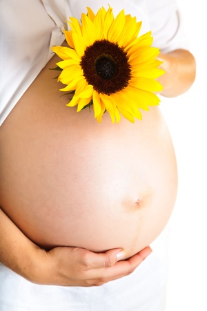 Pregnant woman holding sunflower isolated on whiteの写真素材