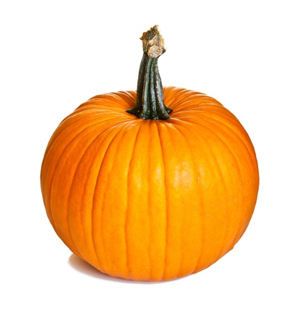 Ripe pumpkin fruits isolated on whiteの写真素材