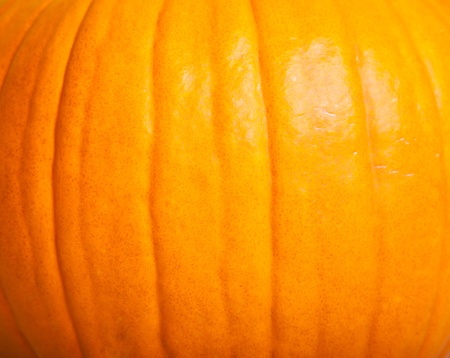Ripe pumpkin fruits isolated on whiteの写真素材