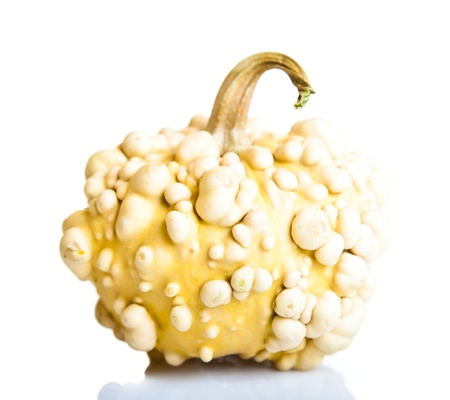 Ripe pumpkin fruits isolated on whiteの写真素材