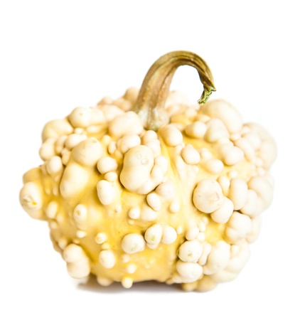 Ripe pumpkin fruits isolated on whiteの写真素材