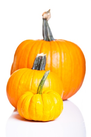 Ripe pumpkin fruits isolated on whiteの写真素材