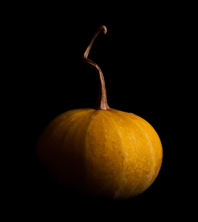 Ripe pumpkin fruits isolated on balckの写真素材