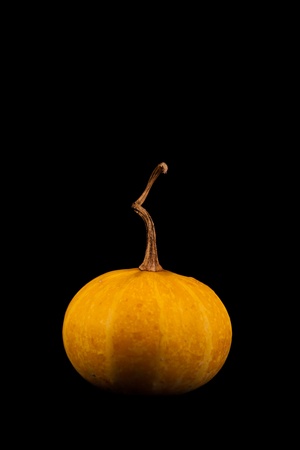 Ripe pumpkin fruits isolated on balckの写真素材