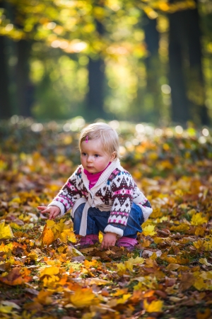 Infant baby girl in golden autumn parkの写真素材