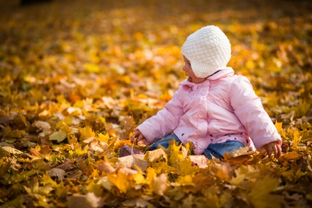 Infant baby girl in golden autumn parkの写真素材