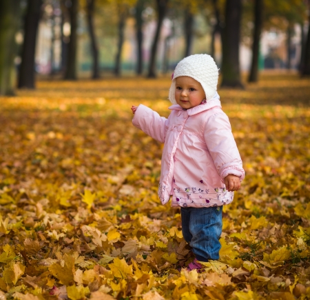 Child in autumn parkの写真素材