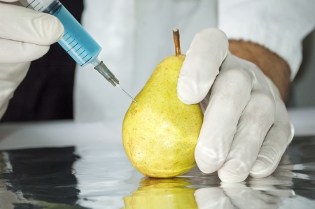 Yellow pear in genetic engineering laboratory, gmo food conceptの写真素材