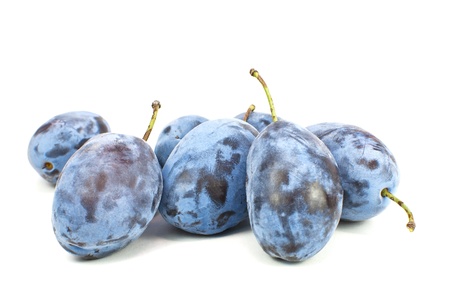 Fresh blue plums on the white background の写真素材