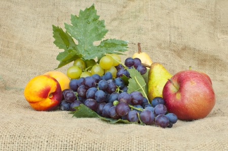 Fresh autumn fruit  apple, pear, peaches and grapesの写真素材