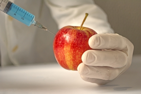 Red apple in genetic engineering laboratory, gmo food concept の写真素材